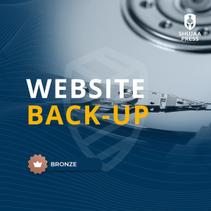 Website Back-up (BRONZE)